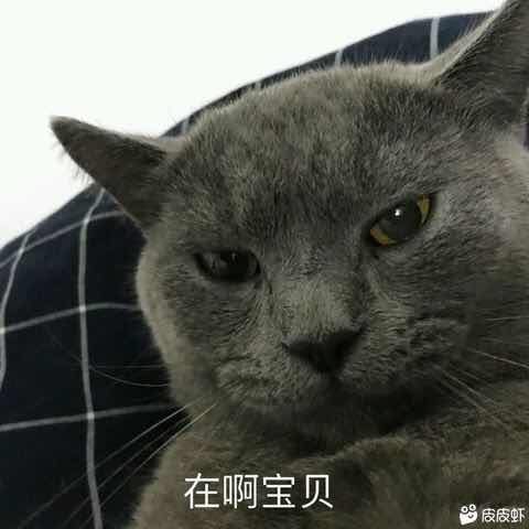 QQ飞车租号
