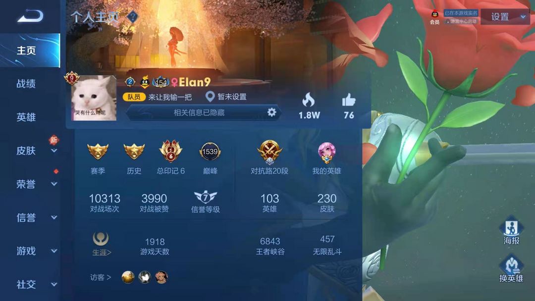 王者荣耀租号