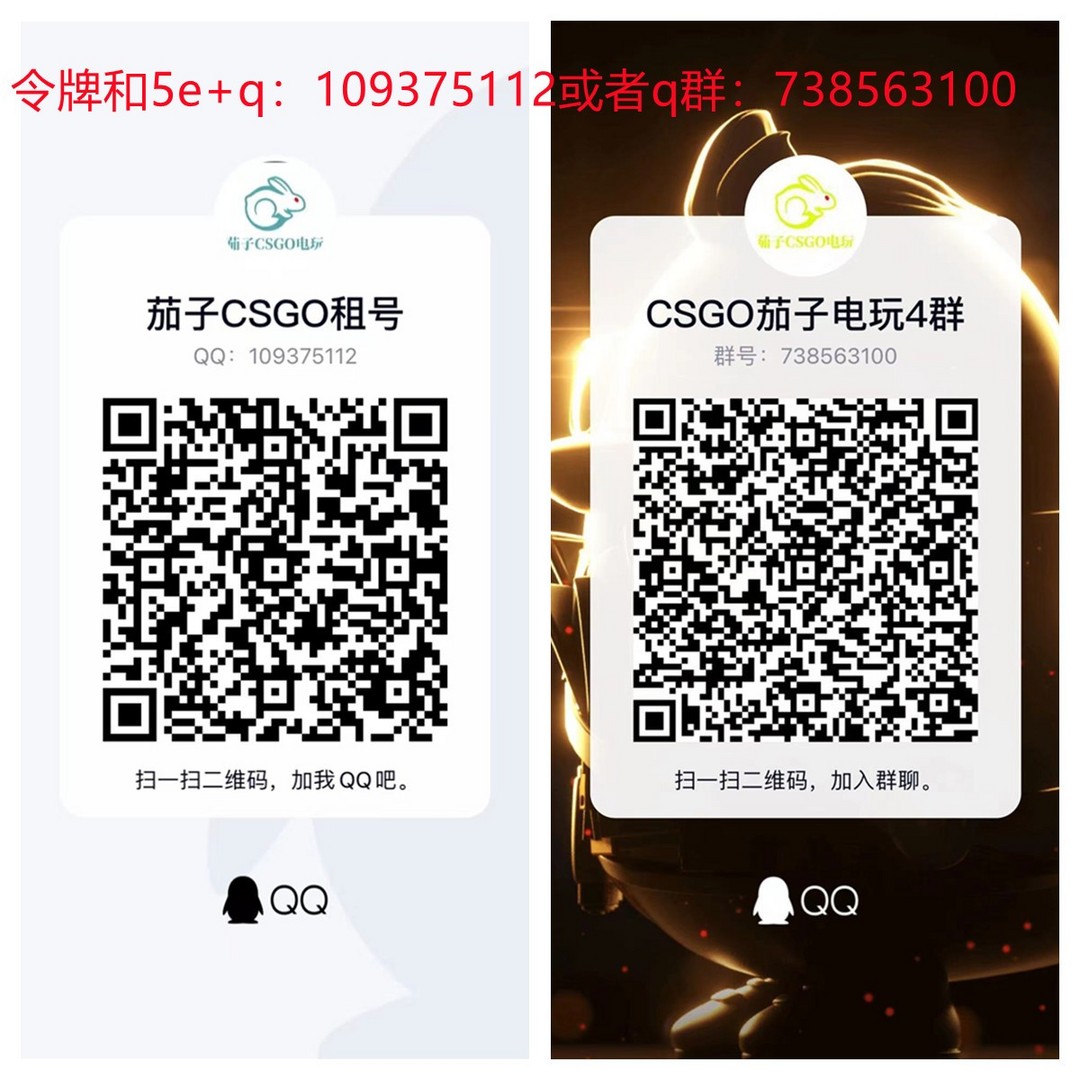 CSGO租号