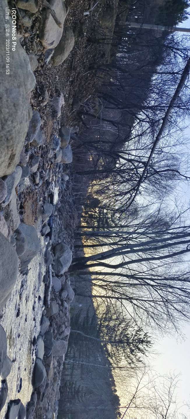 穿越火线租号