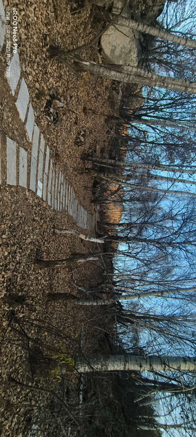 穿越火线租号
