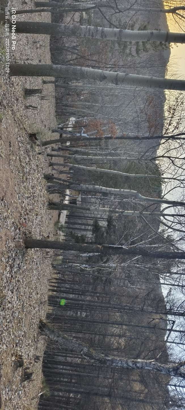 穿越火线租号