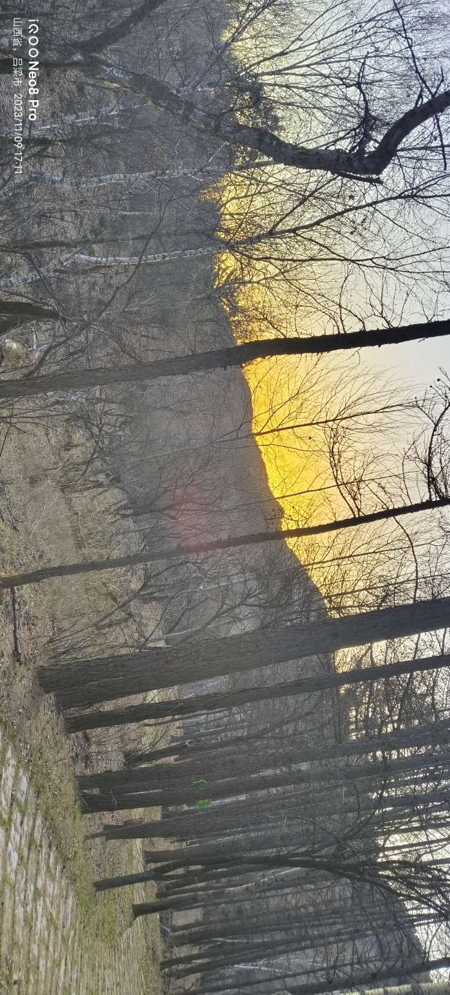 穿越火线租号