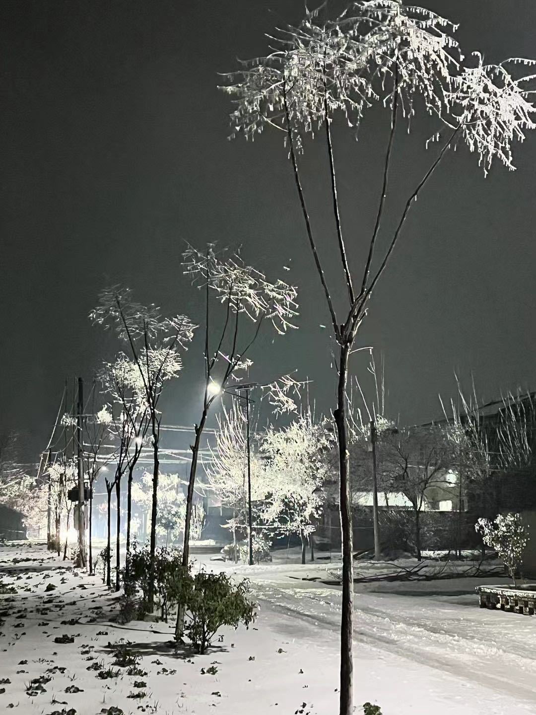 和平精英租号