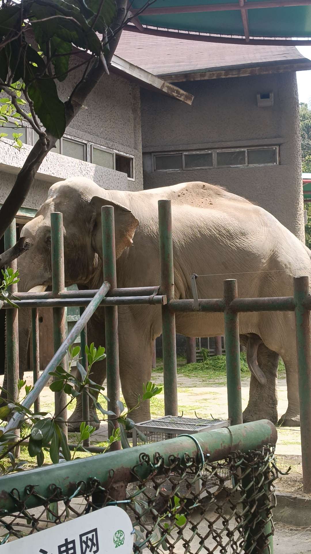 绝地求生租号