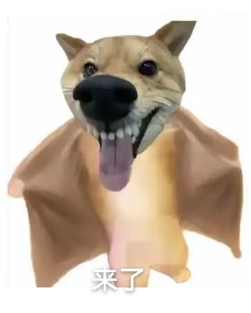 穿越火线租号