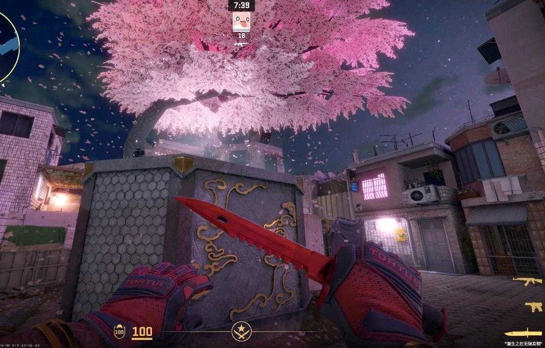 点击看大图