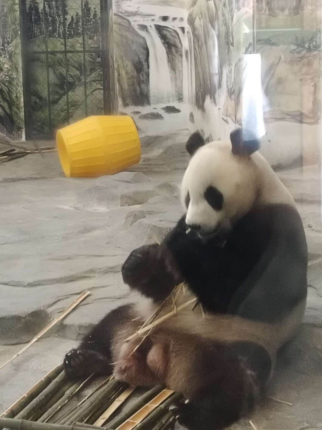 点击看大图