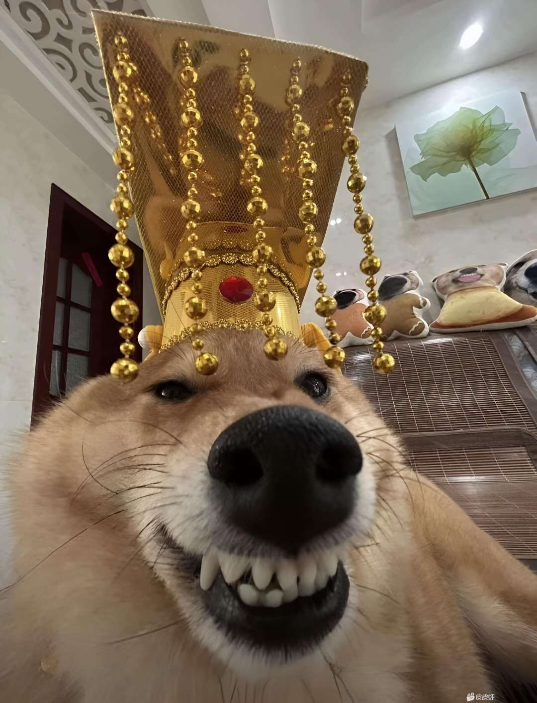 点击看大图