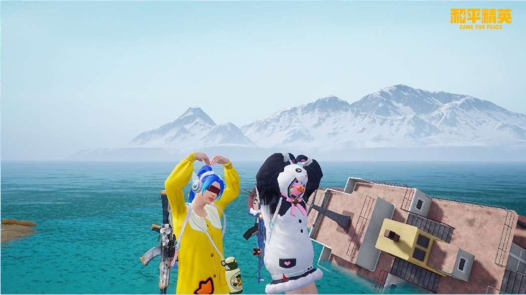 点击看大图