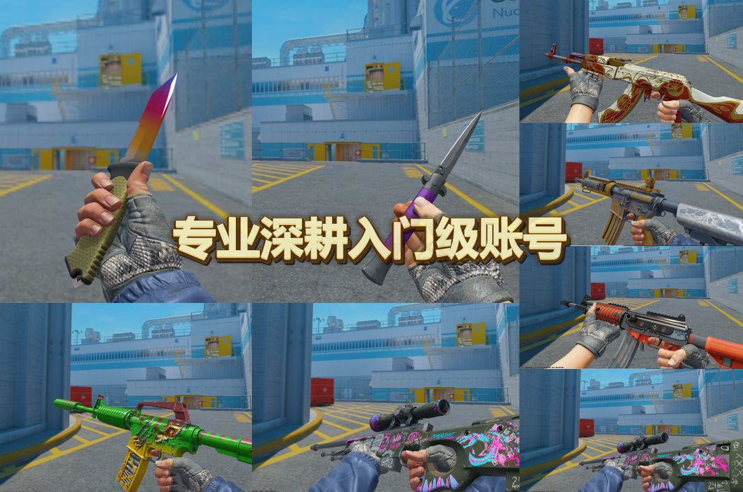 点击看大图