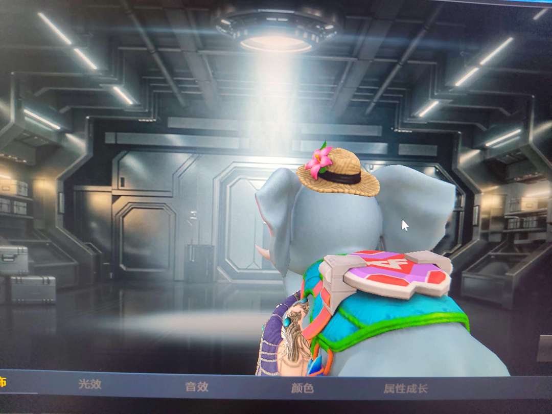点击看大图
