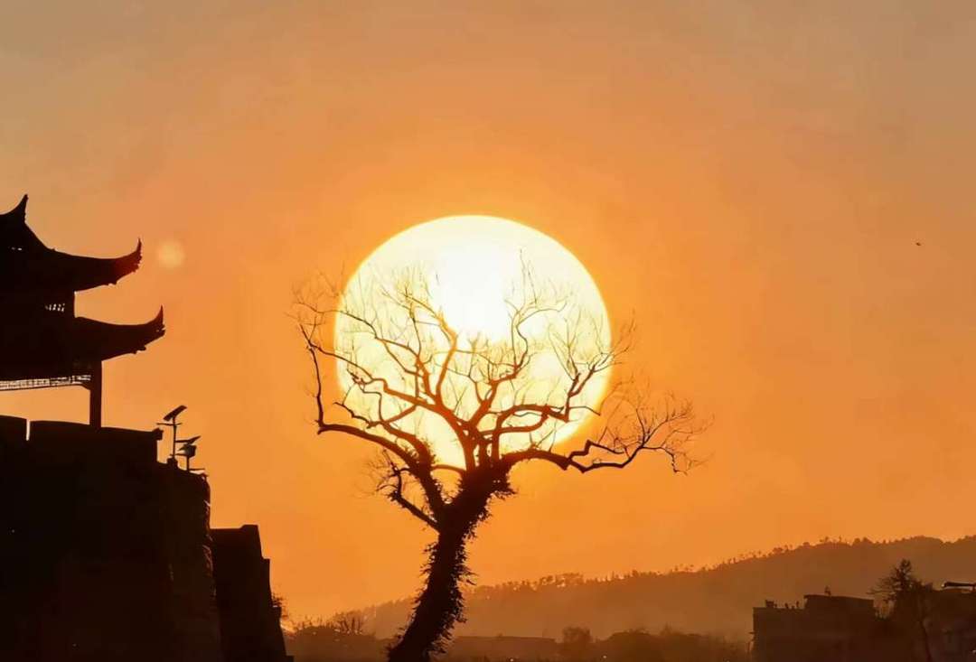 点击看大图