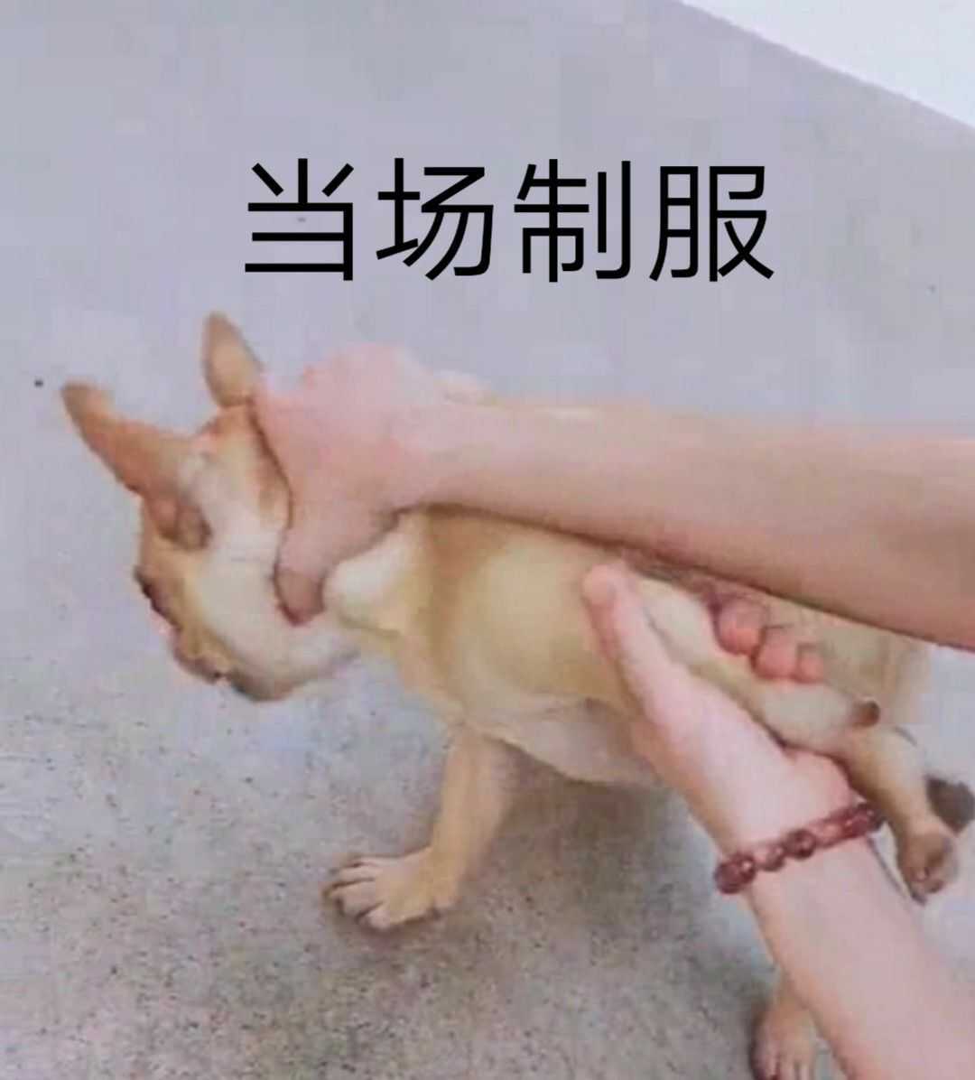 枪战王者租号