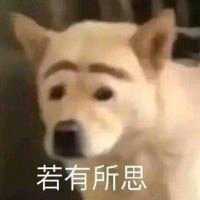 球球大作战租号