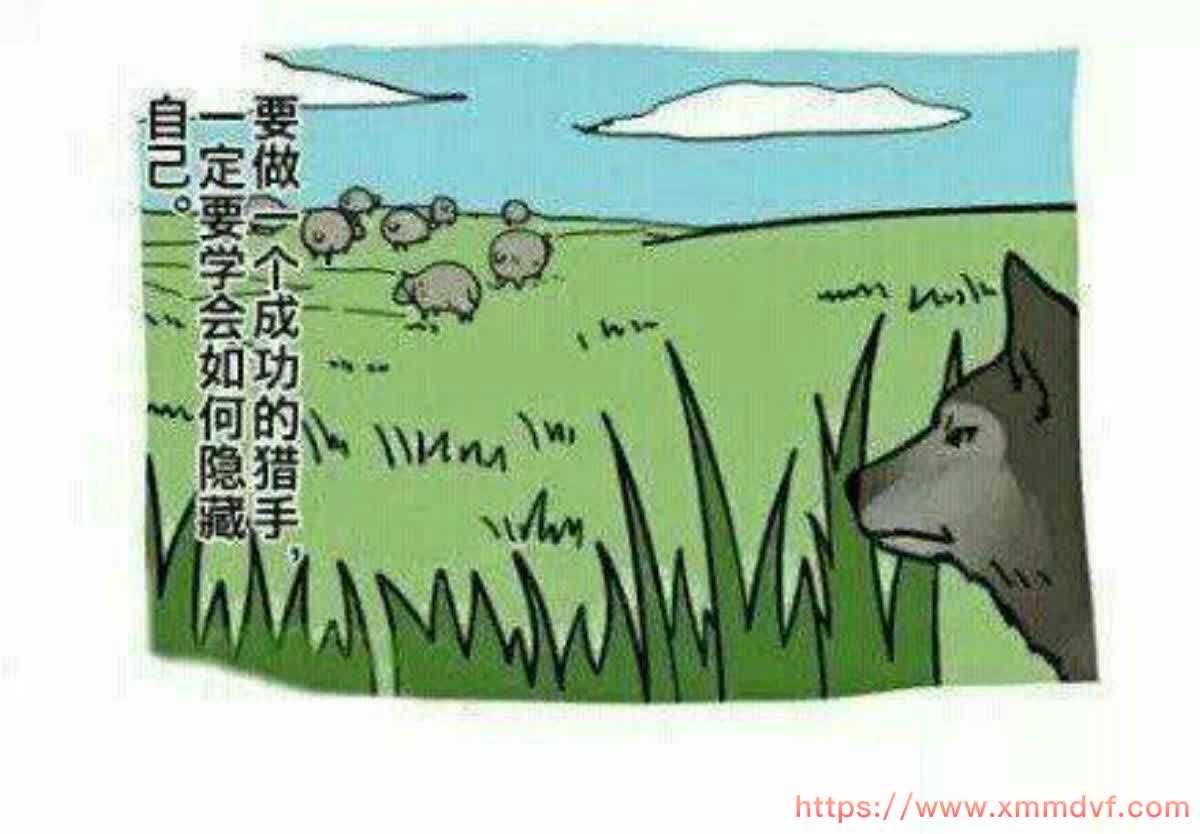 CSGO租号