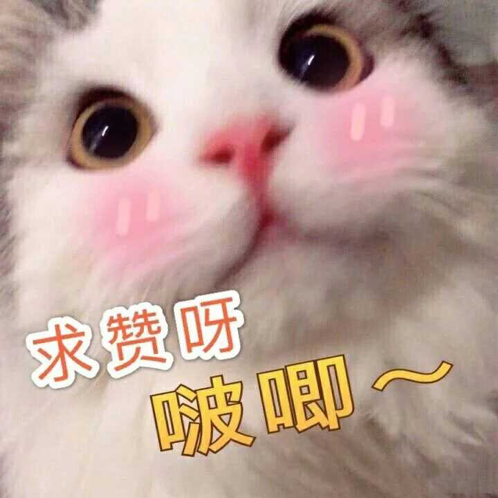 最强NBA租号