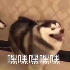 QQ飞车手游租号