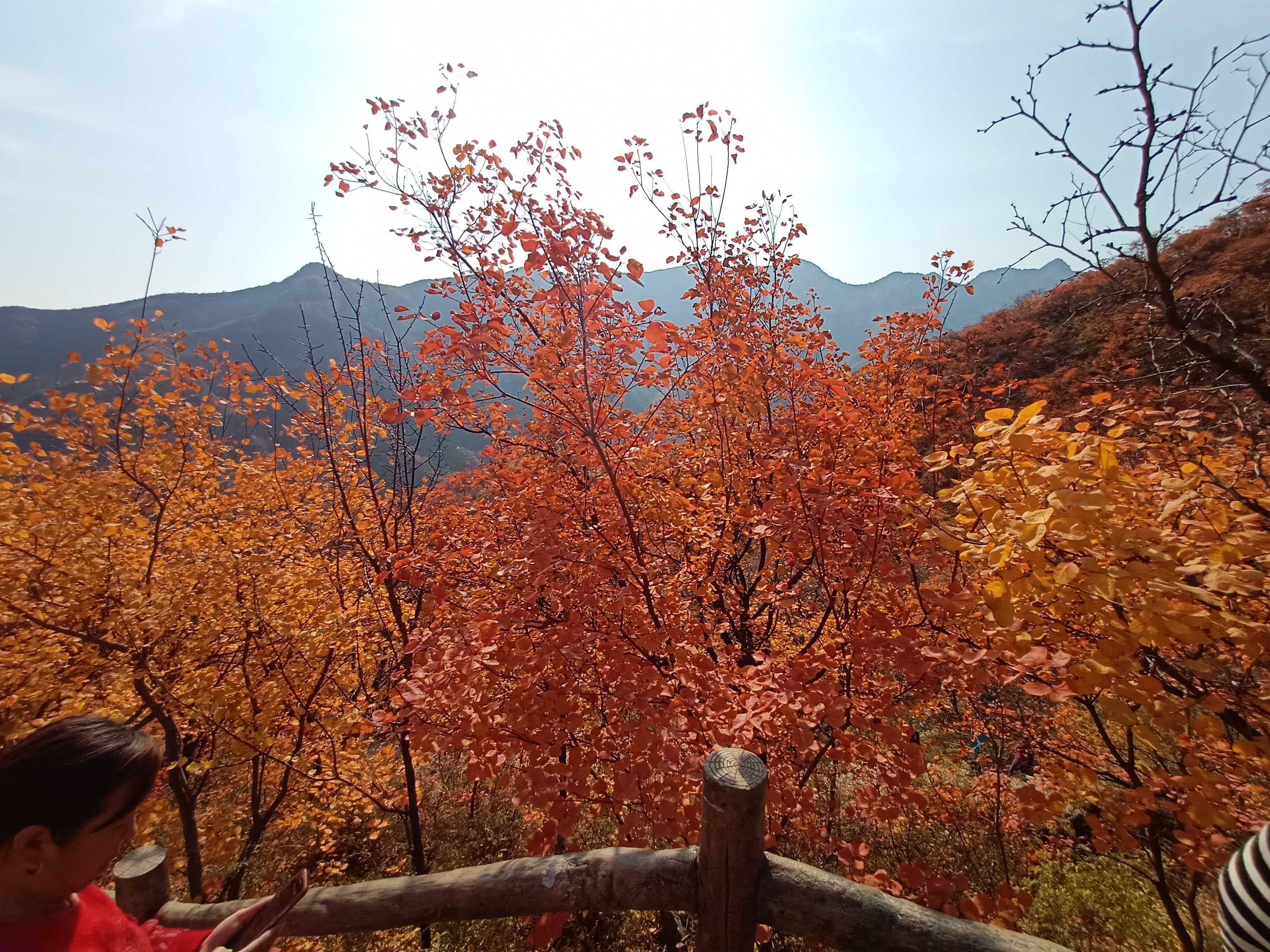 穿越火线租号