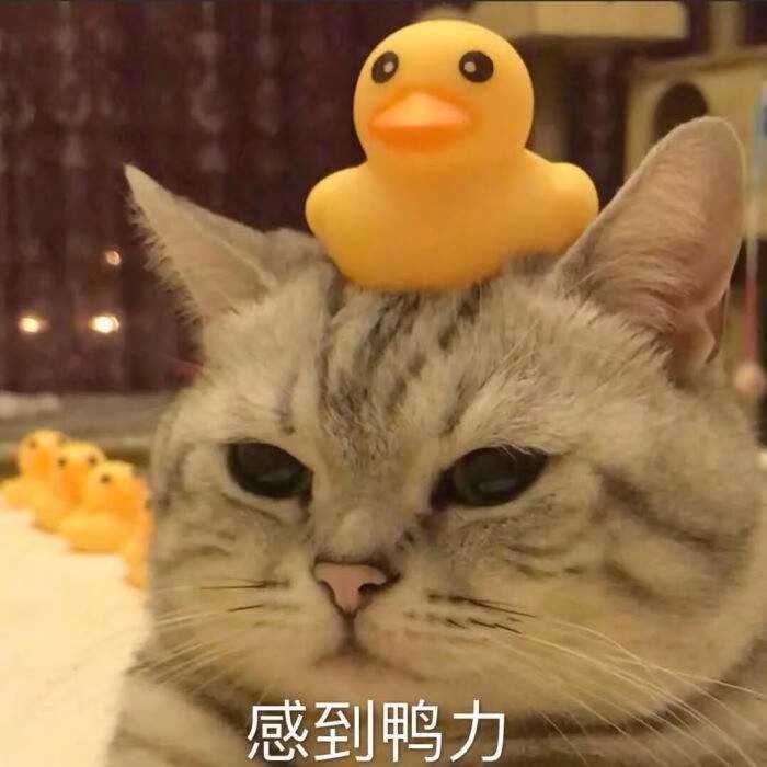 枪战王者租号