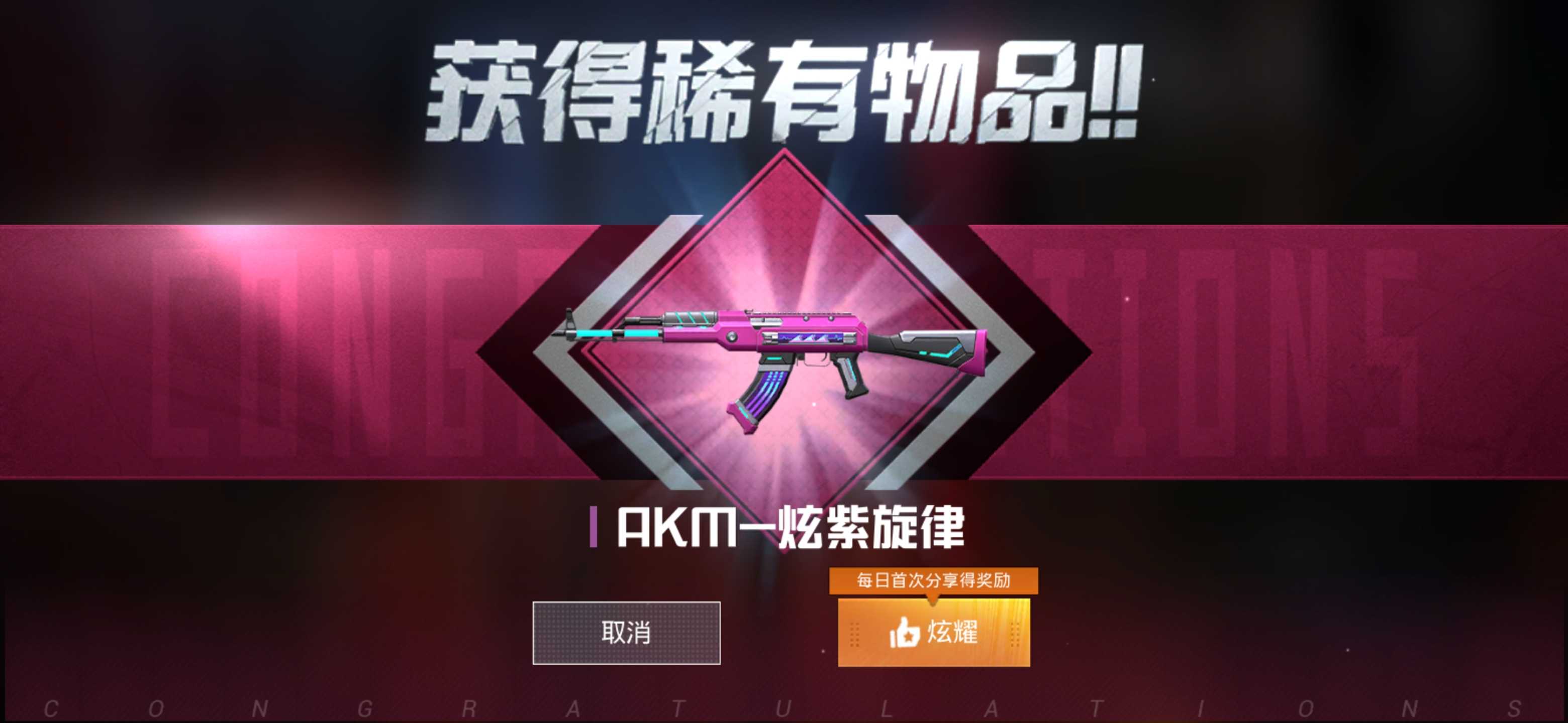 特斯拉model3金属狂野套装akm-炫紫旋律撩妹必备