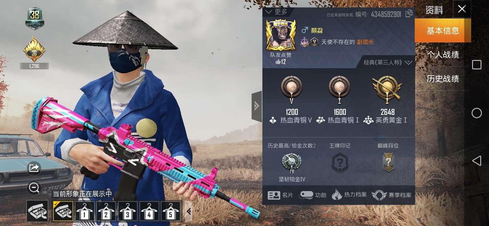 和平精英租号