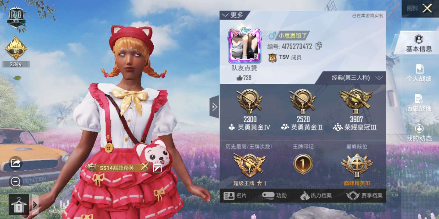和平精英租号