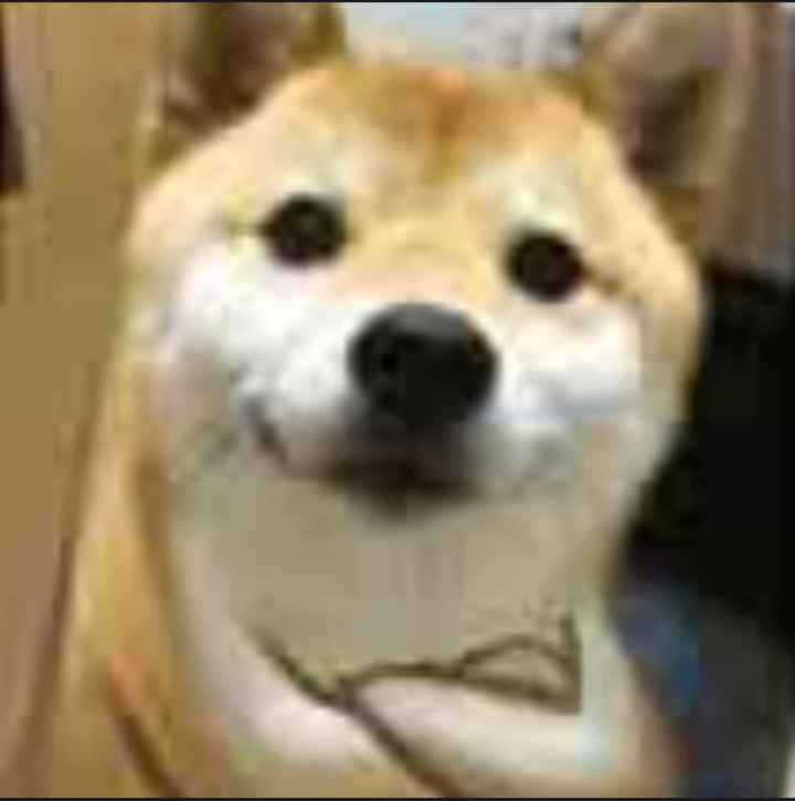 火线精英租号