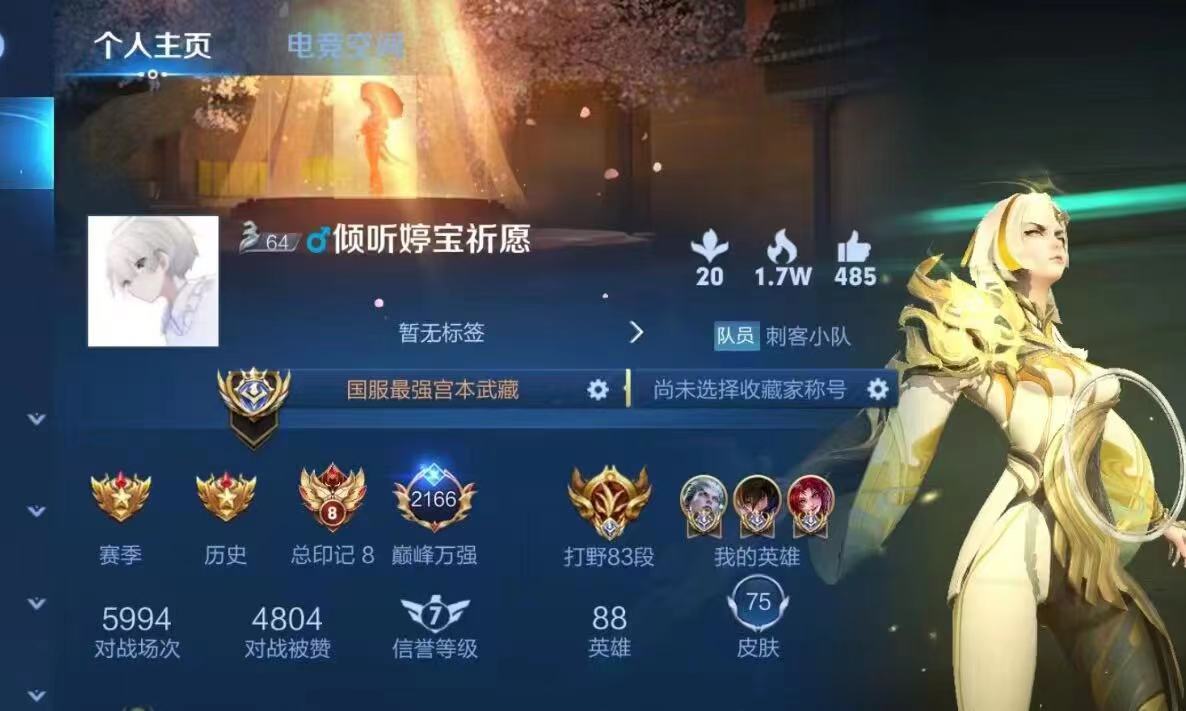 王者荣耀租号