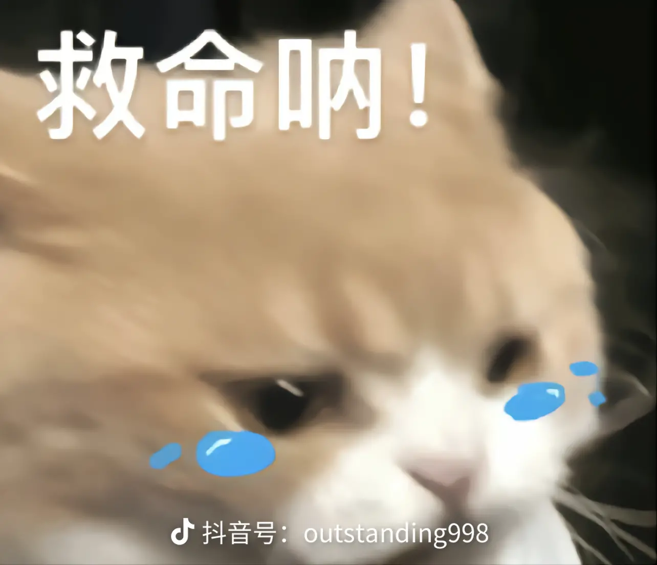 和平精英租号
