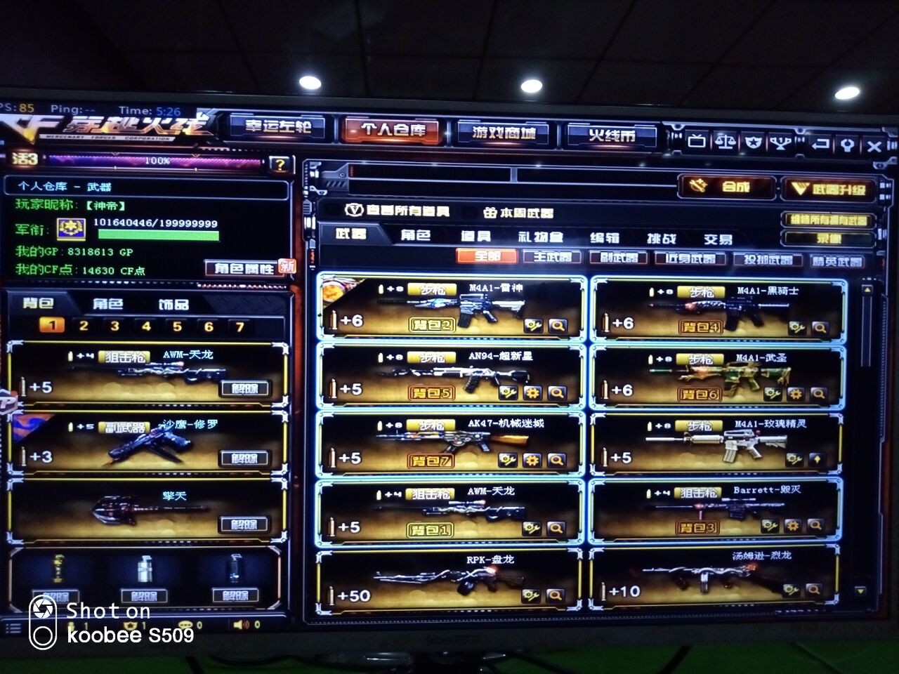 满级紫金大元首56v_穿越火线_电信区_广东三区_911租号_cf租号_lol租