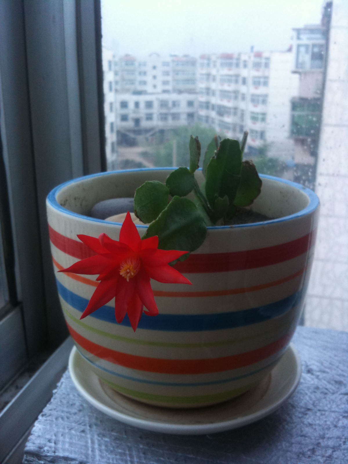火线精英租号