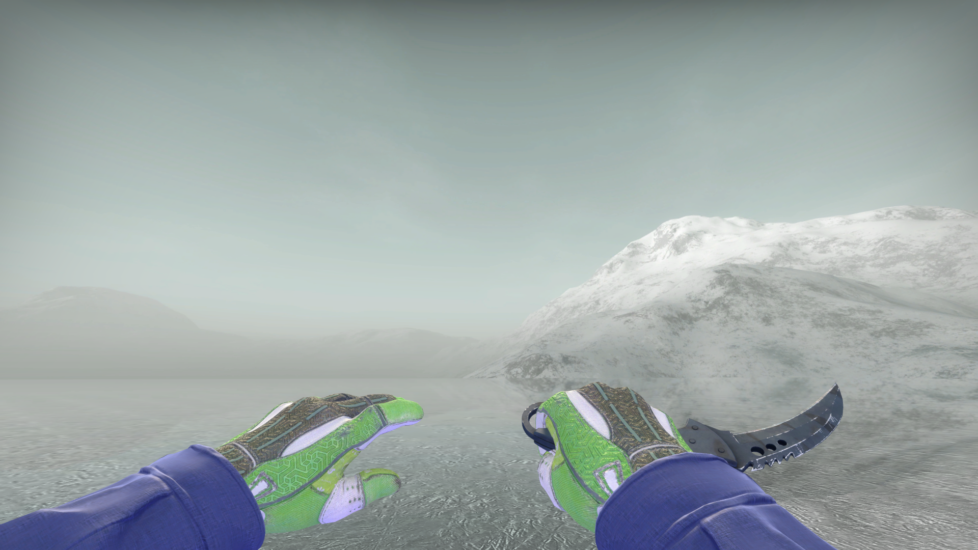 【小渔】验证码加q鹰爪树篱迷宫手套霓虹ak大姐姐m4可5e_csgo_国际服