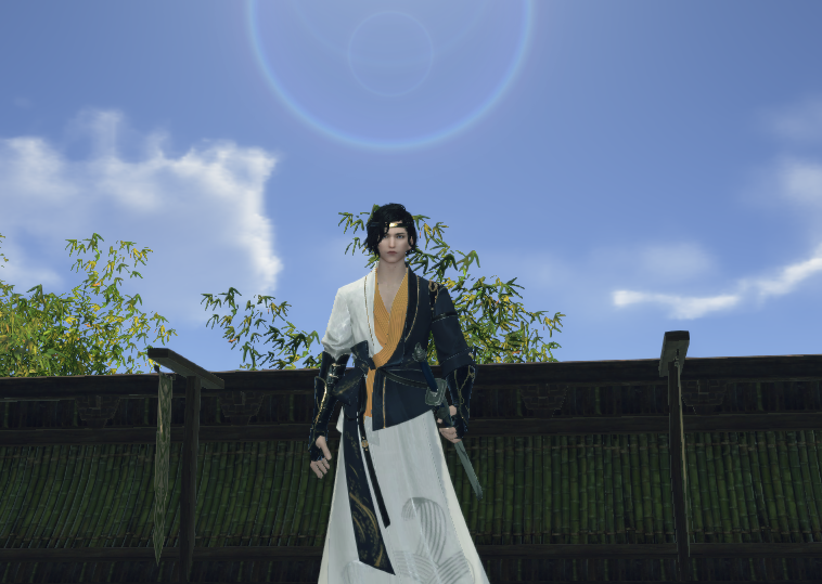 孔雀翎4.83功力太白,战力5.31,可打本,论剑段位低