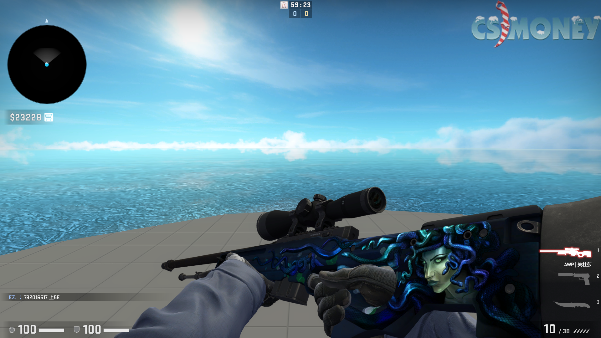 姜黄小猫验证 崭新美杜莎全主战csgo