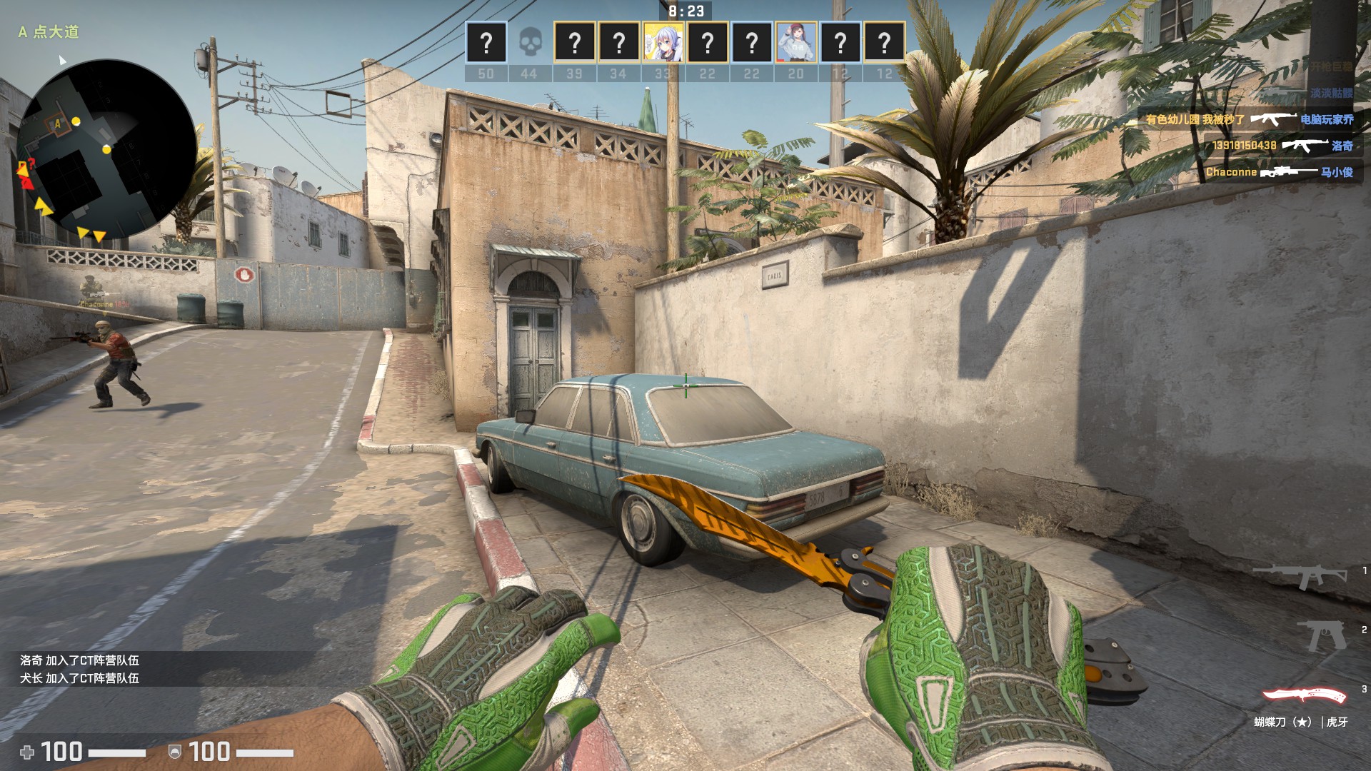 国际服可5e休闲官匹金虎牙蝴蝶无损树篱迷宫手套二西狙p90_csgo_国际