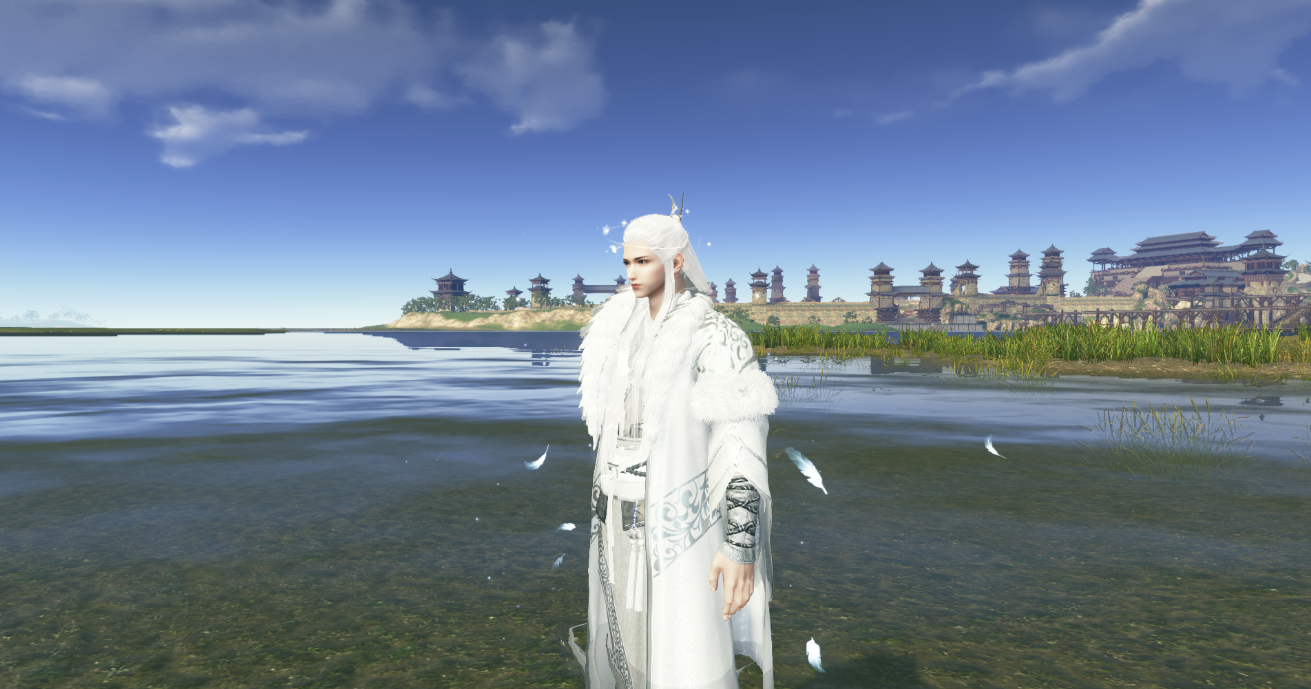 6.03特效翅膀号五毒 西首,孔雀技能,白鹿,舒音,独孤