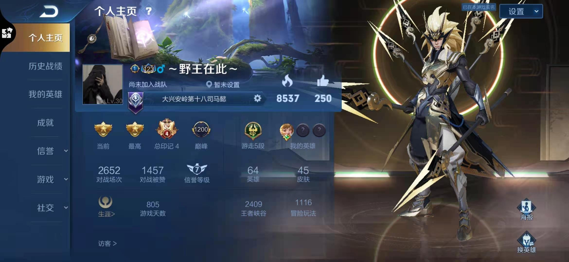 极品铭文号/历史双金标/马超神威 白虎志 凤求凰 至尊宝飞衡_王者荣耀