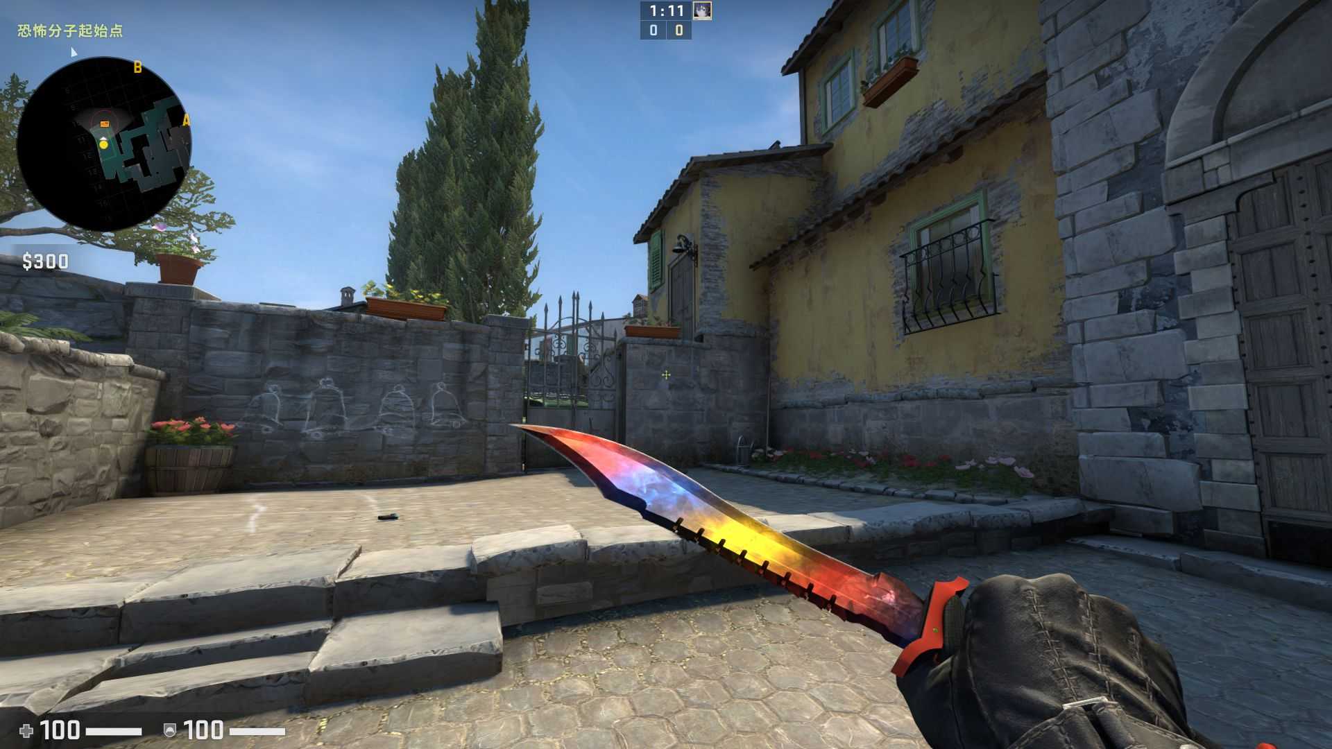 渐变鲍伊★沙鹰印花集★阿努比斯军团★皇帝_csgo_国际服_国际服_租