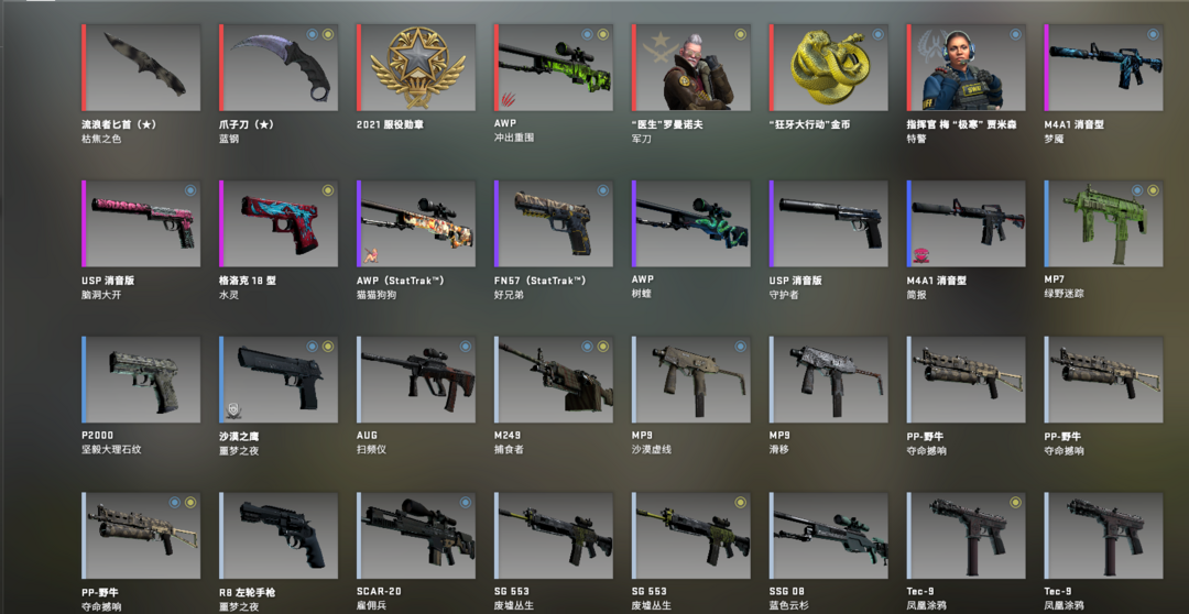 csgo流浪者匕首图片