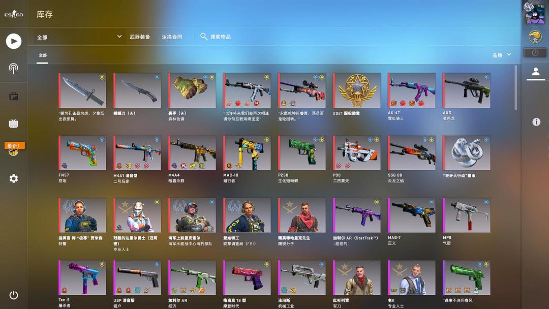 csgo原皮贴纸方案图片