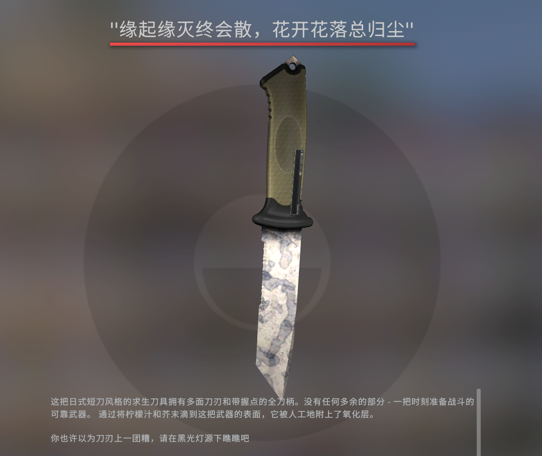 可完美 ️5全枪皮 ️染色熊刀 ️可燃冰AK ️金粉大狙 ️梦魇M4 ️死寂空间此CSGO账号已出租55次帐号出租-租号玩