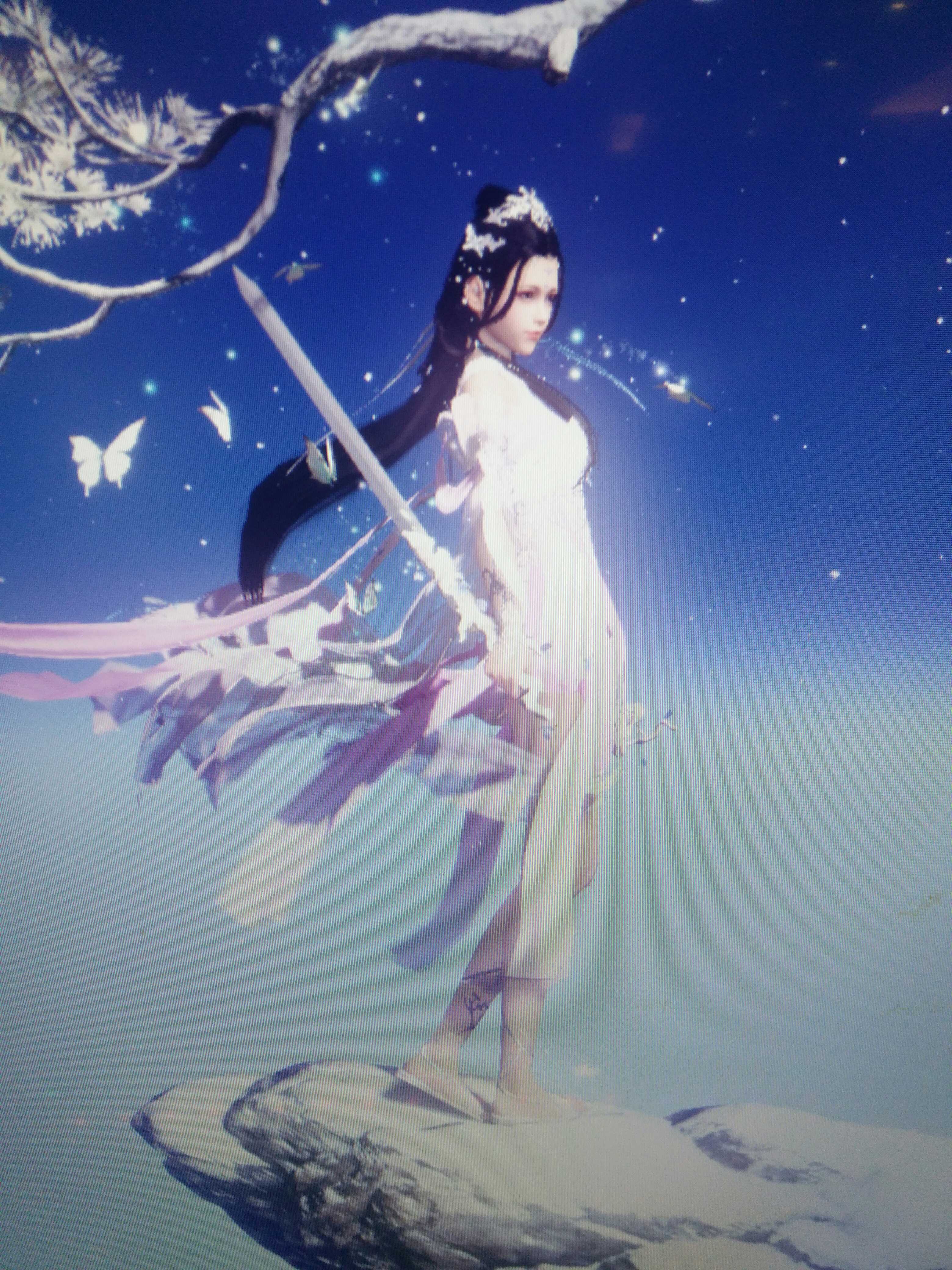 Δ3.4战 Δ2.19功Δ女号太白 白蝴蝶 枯荣武器 新背饰