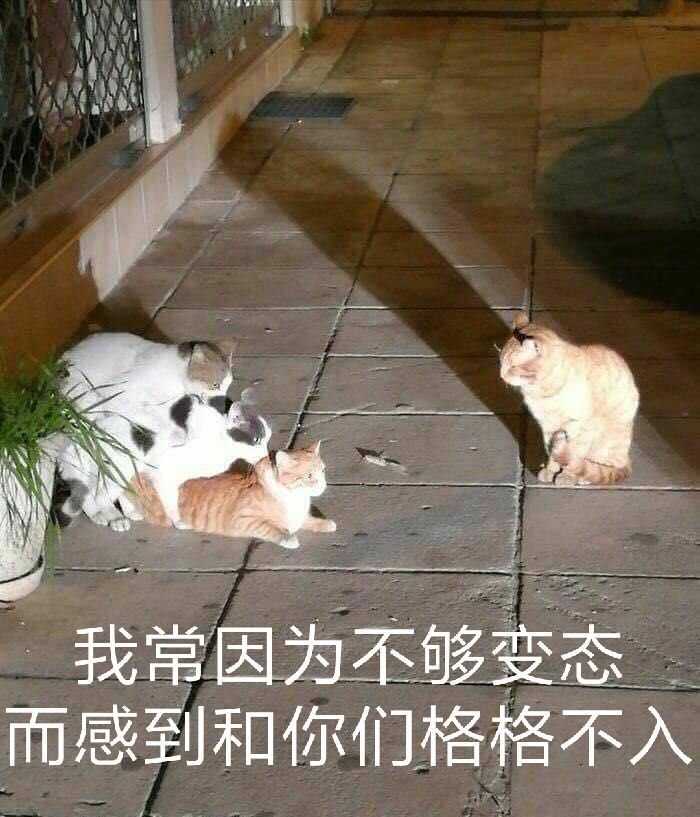 和平精英租号