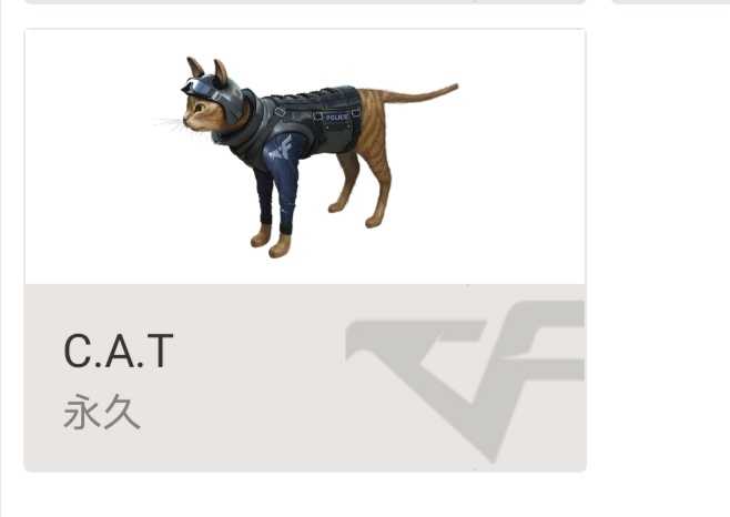 巨实惠,看仓库,60～70v啊啊啊啊啊啊啊啊啊啊啊a哈哈哈