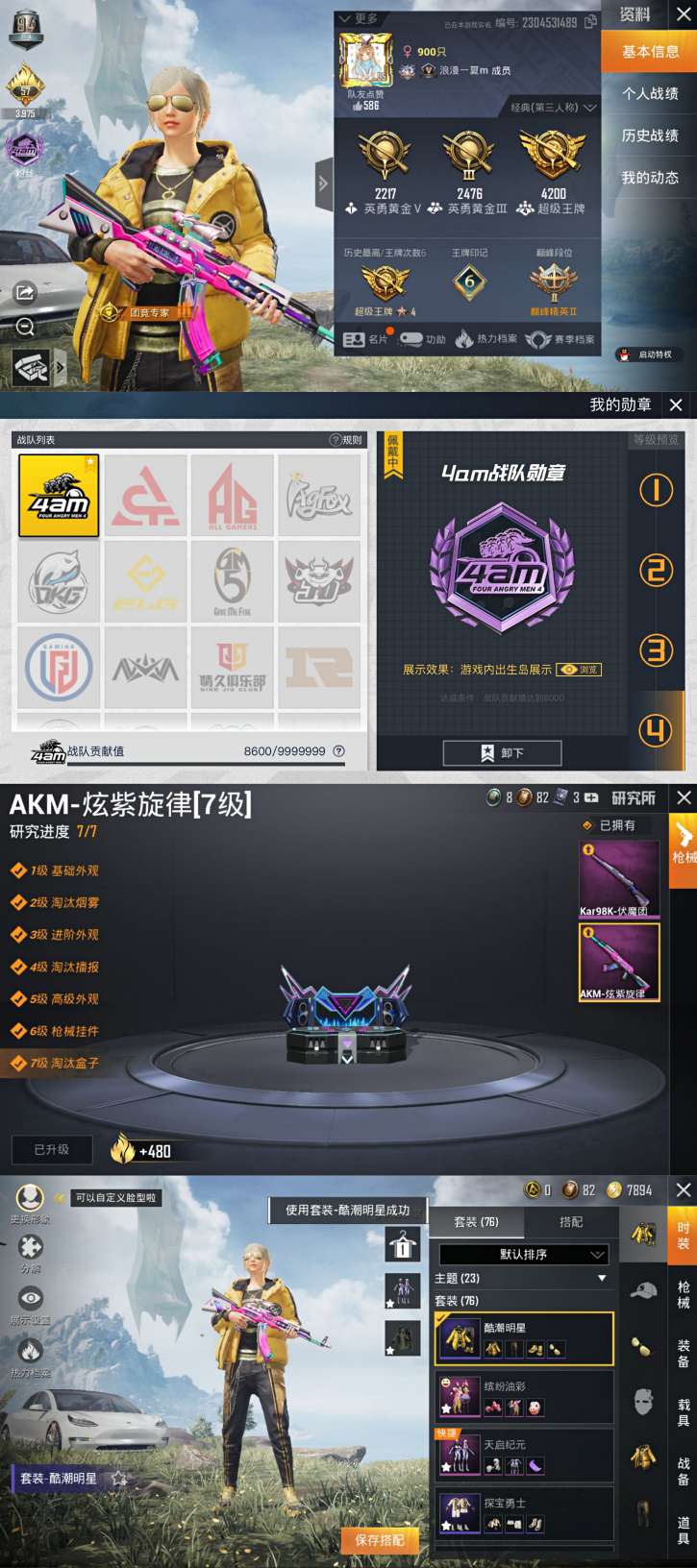 职业logo浪漫波比爱神79六王牌印记满7级ak白特斯拉此和平精英账号