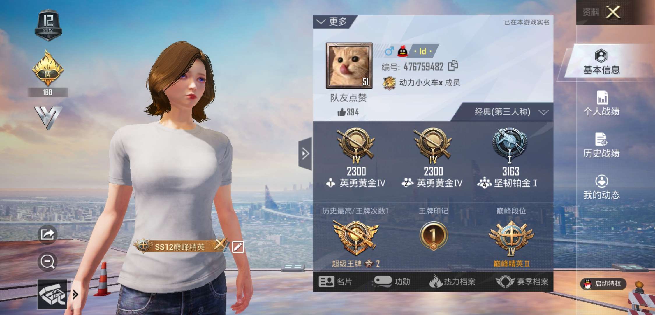 和平精英租号