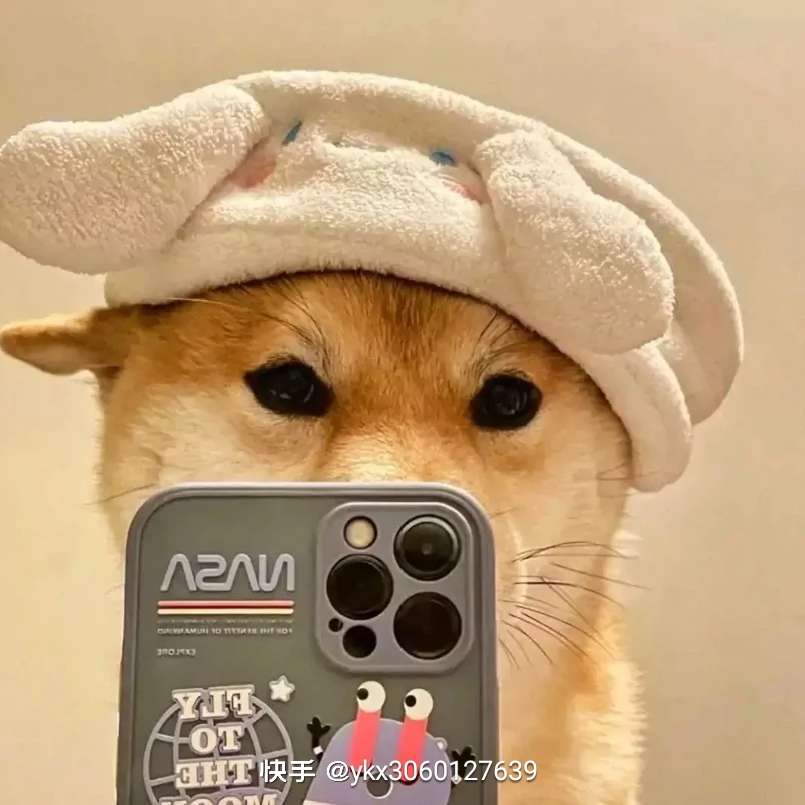 100v*6烈斯太尔蝴蝶*免换弹看血量手斧镜减速雷